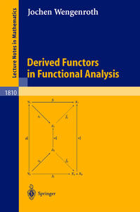 Vorderes Coverbild Derived Functors in Functional Analysis