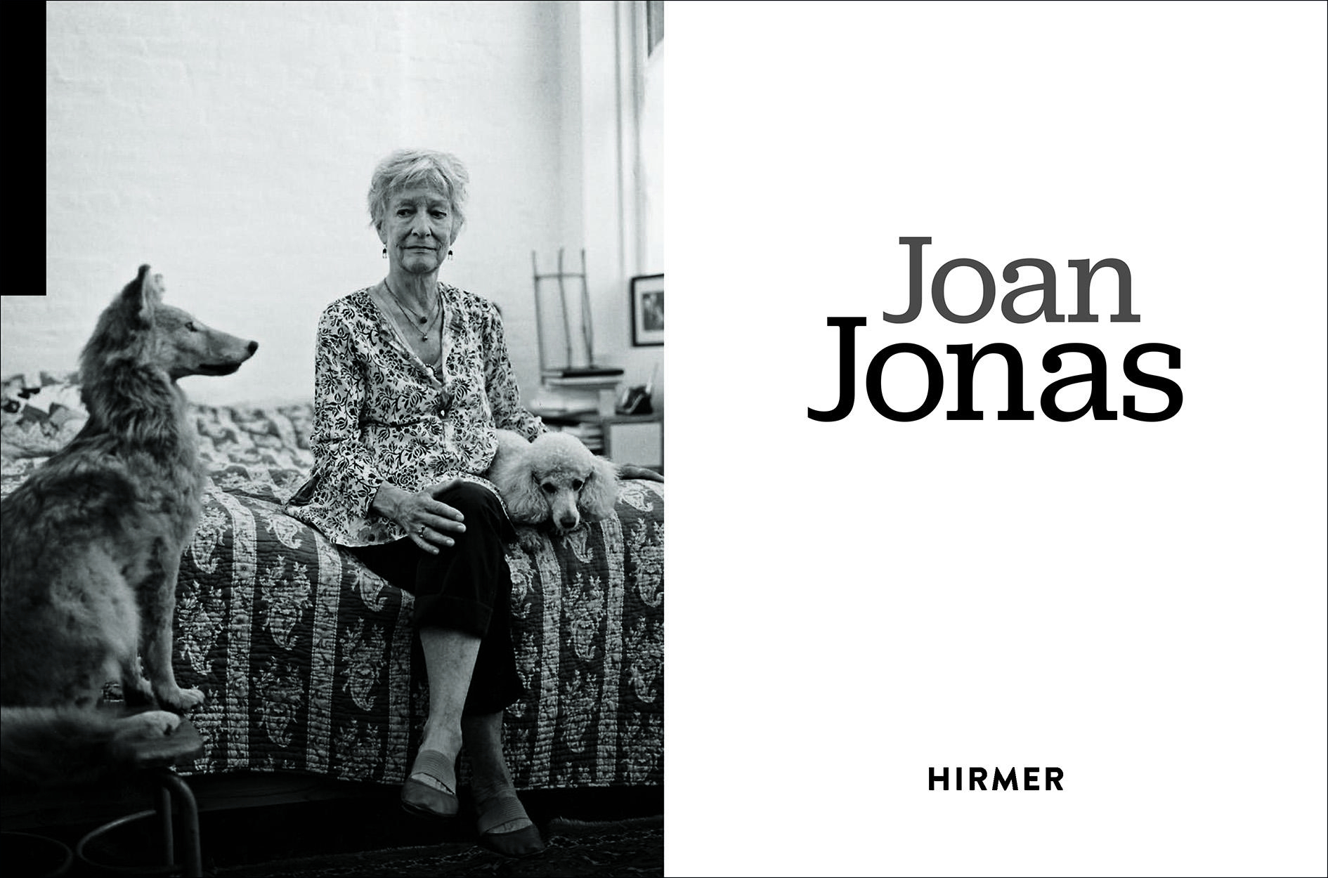 Beispielinhalt (Bild) Joan Jonas