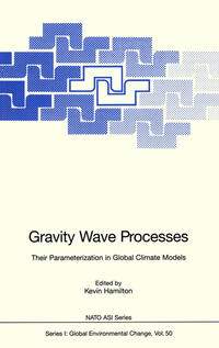 Vorderes Coverbild Gravity Wave Processes