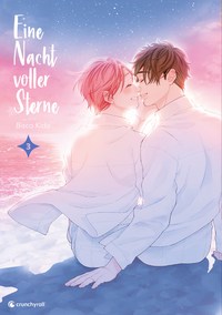 Vorderes Coverbild Eine Nacht voller Sterne – Band 3 (Finale)