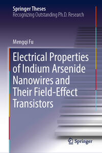 Vorderes Coverbild Electrical Properties of Indium Arsenide Nanowires and Their Field-Effect Transistors