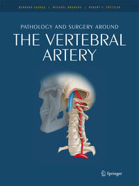Vorderes Coverbild Pathology and surgery around the vertebral artery