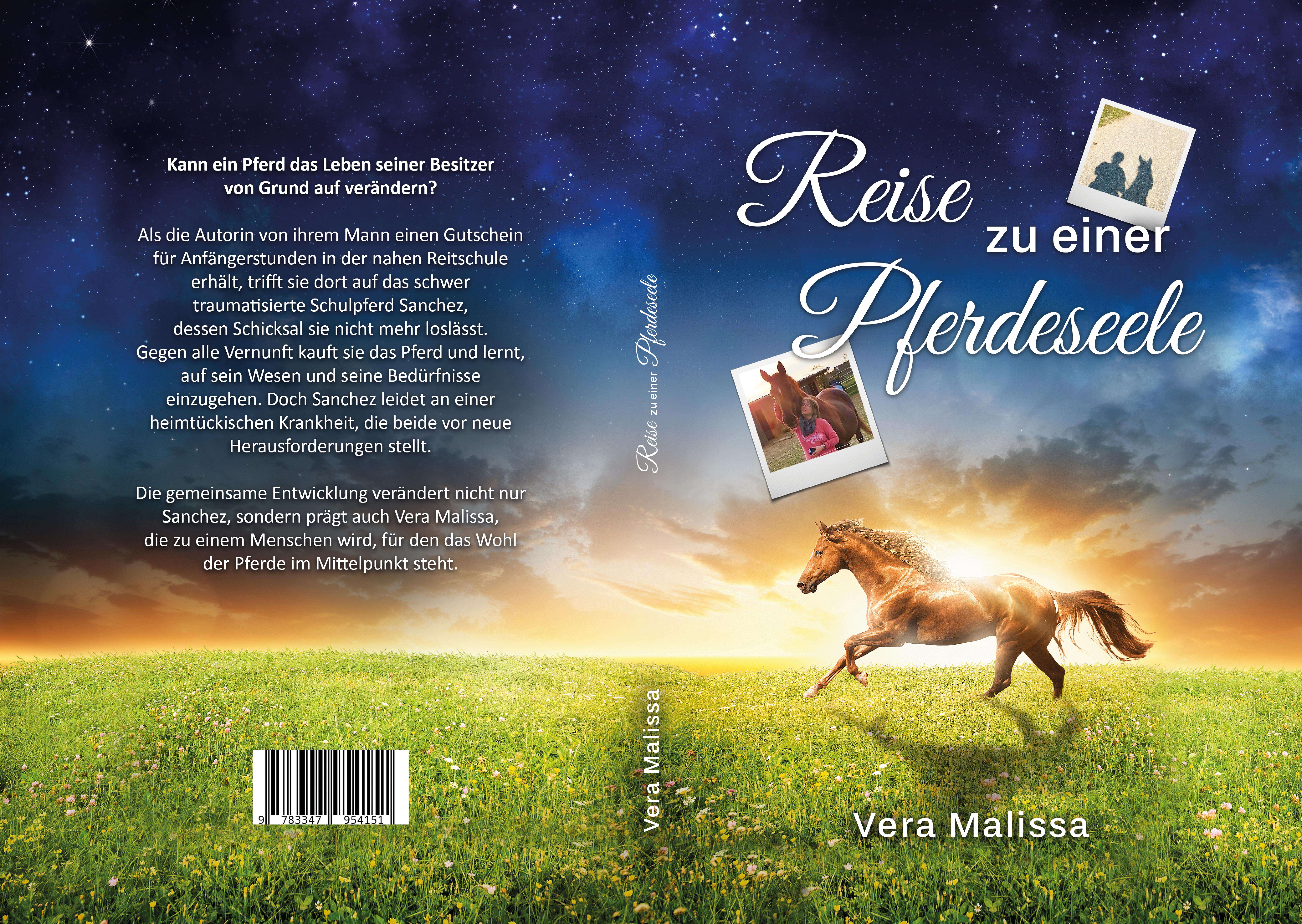 Gesamtes Coverbild Reise zu einer Pferdeseele