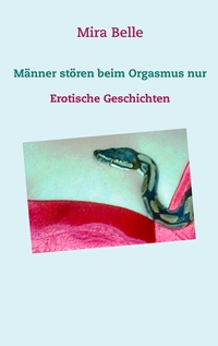 Vorderes Coverbild Männer stören beim Orgasmus nur