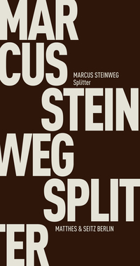 Vorderes Coverbild Splitter
