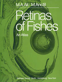 Vorderes Coverbild Retinas of Fishes