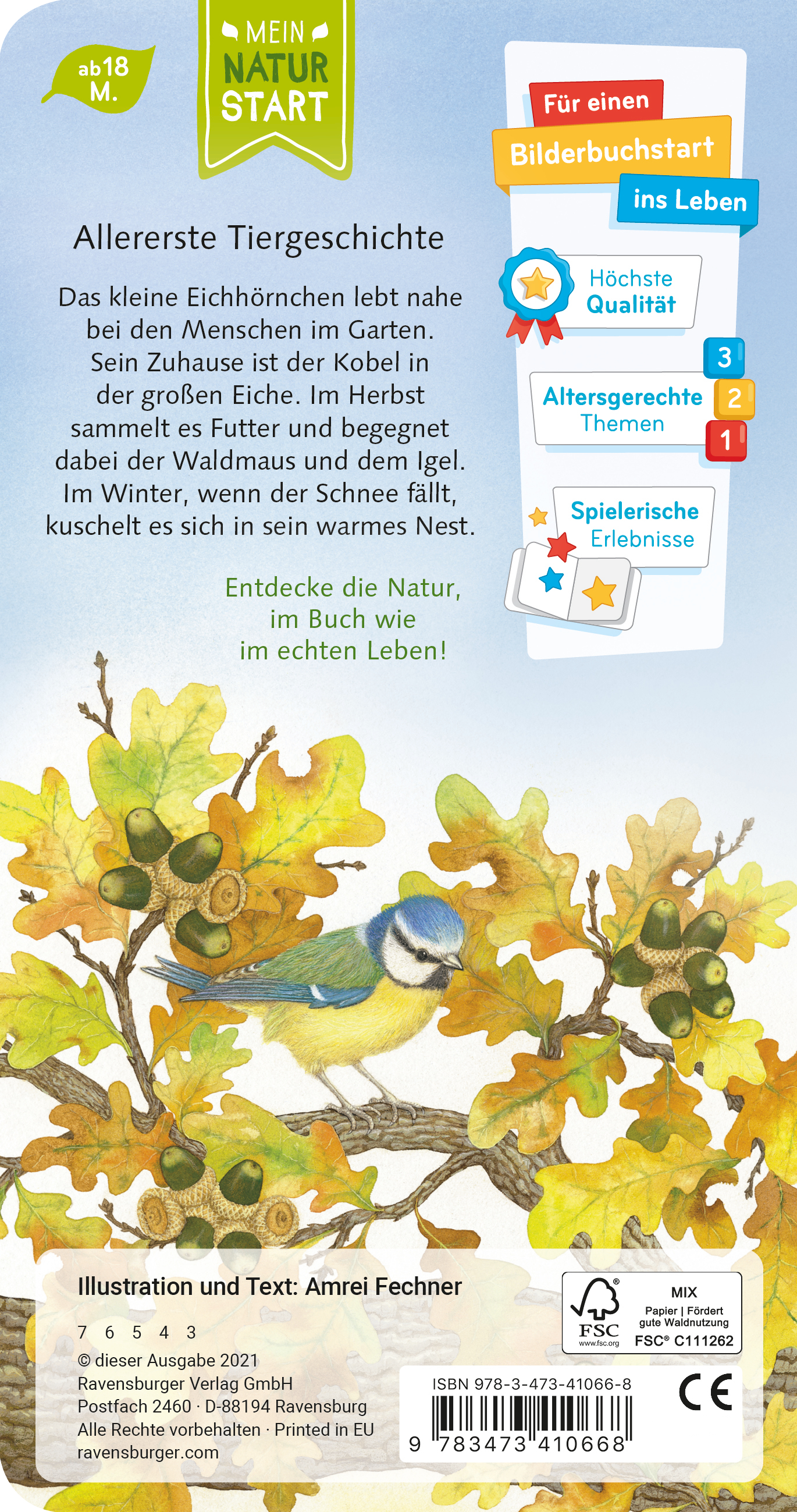 Rückseitencover Ich bin das kleine Eichhörnchen
