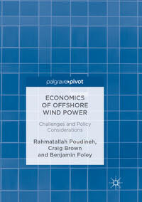 Vorderes Coverbild Economics of Offshore Wind Power