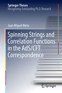 Vorderes Coverbild Spinning Strings and Correlation Functions in the AdS/CFT Correspondence