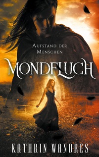 Vorderes Coverbild Mondfluch 3