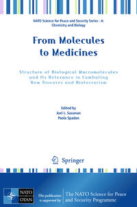 Vorderes Coverbild From Molecules to Medicines
