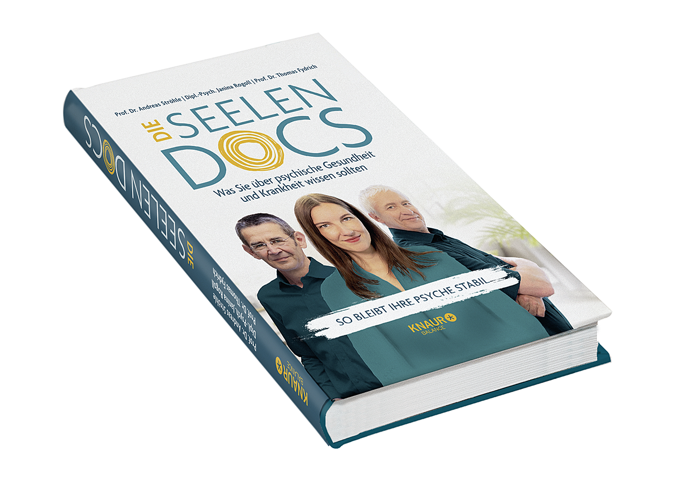 Beispielinhalt (Bild) Die Seelen-Docs