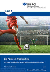 Vorderes Coverbild A 039-1 Big Points im Arbeitsschutz