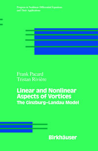 Vorderes Coverbild Linear and Nonlinear Aspects of Vortices