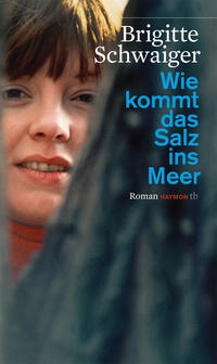Vorderes Coverbild Wie kommt das Salz ins Meer