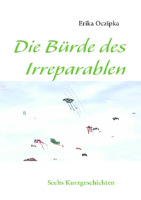 Vorderes Coverbild Die Bürde des Irreparablen