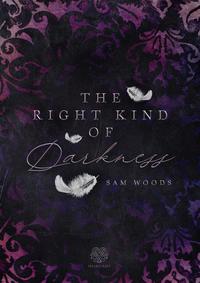 Vorderes Coverbild The right kind of Darkness
