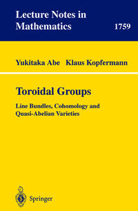 Vorderes Coverbild Toroidal Groups