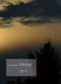Vorderes Coverbild Erlkönig D 328