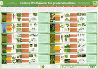 Vorderes Coverbild Essbare Wildkräuter für Grüne Smoothies Teil 1 - Wandposter (2024)