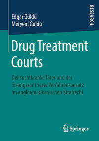 Vorderes Coverbild Drug Treatment Courts