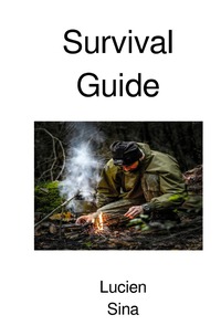 Vorderes Coverbild Survival Guide