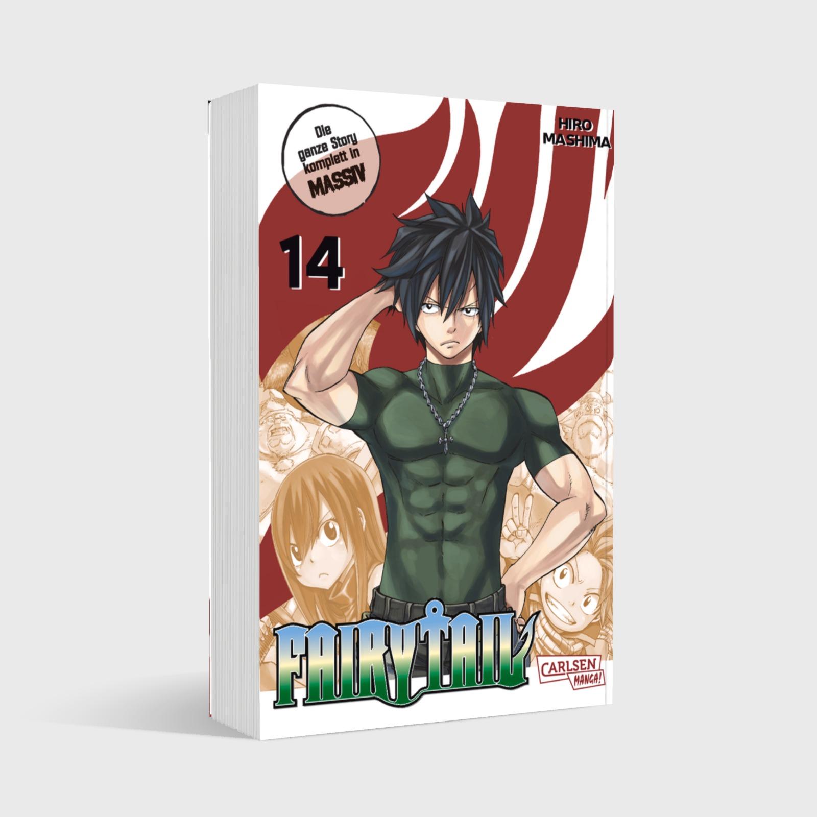 Beispielinhalt (Bild) Fairy Tail Massiv 14