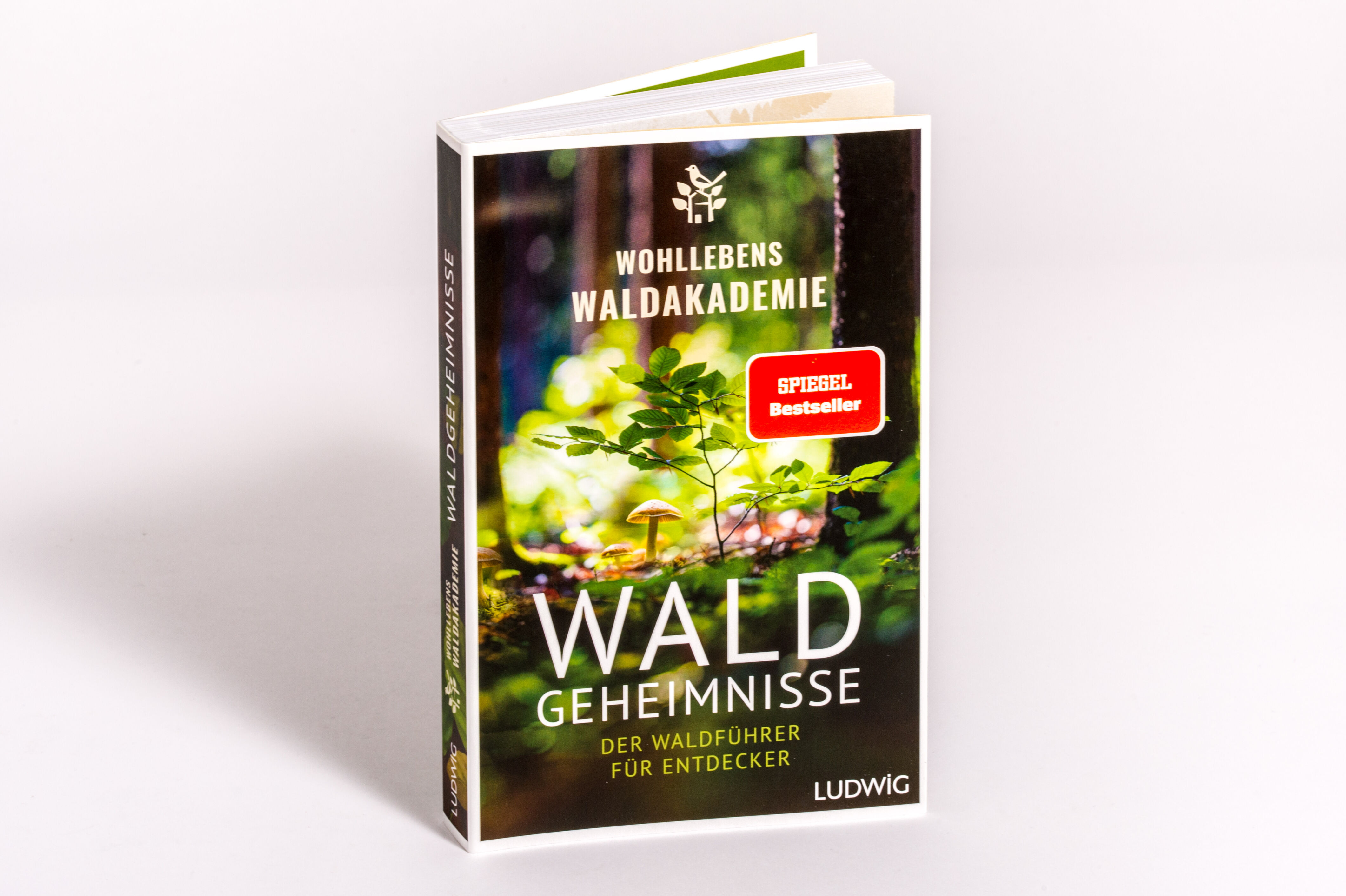 Beispielinhalt (Bild) Waldgeheimnisse