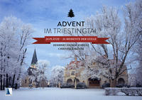 Vorderes Coverbild Advent im Triestingtal