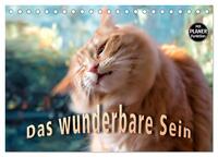 Vorderes Coverbild Das wunderbare Sein (Tischkalender 2025 DIN A5 quer), CALVENDO Monatskalender