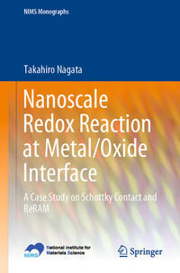 Vorderes Coverbild Nanoscale Redox Reaction at Metal/Oxide Interface