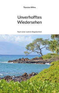 Vorderes Coverbild Unverhofftes Wiedersehen