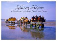 Vorderes Coverbild Schleswig-Holstein, Urlaubsland zwischen Nord- und Ostsee (Wandkalender 2026 DIN A3 quer), CALVENDO Monatskalender