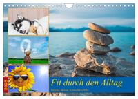 Vorderes Coverbild Fit durch den Alltag - stärke deine Abwehrkräfte (Wandkalender 2025 DIN A4 quer), CALVENDO Monatskalender