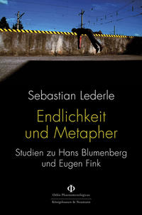 Vorderes Coverbild Endlichkeit und Metapher