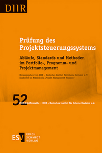 Vorderes Coverbild Prüfung des Projektsteuerungssystems