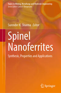 Vorderes Coverbild Spinel Nanoferrites