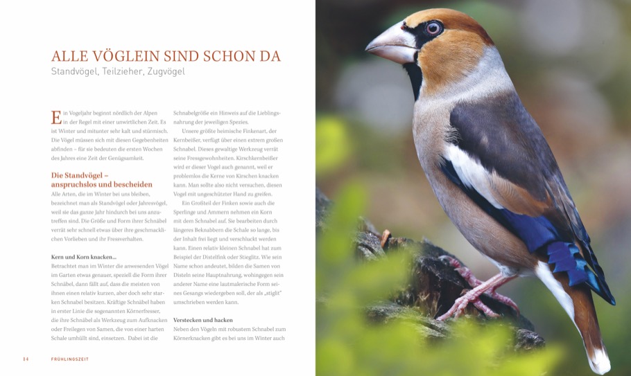 Beispielinhalt (Bild) Ein Garten voller Vögel