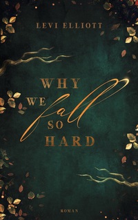 Vorderes Coverbild Why we fall so hard