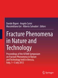 Vorderes Coverbild Fracture Phenomena in Nature and Technology