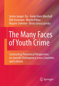 Vorderes Coverbild The Many Faces of Youth Crime