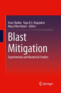 Vorderes Coverbild Blast Mitigation