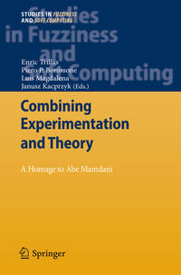 Vorderes Coverbild Combining Experimentation and Theory