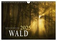Vorderes Coverbild Mysterium Wald (Wandkalender 2025 DIN A4 quer), CALVENDO Monatskalender