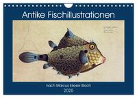 Vorderes Coverbild Antike Fischillustrationen nach Marcus Elieser Bloch (Wandkalender 2025 DIN A4 quer), CALVENDO Monatskalender