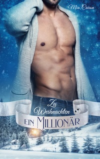 Vorderes Coverbild Zu Weihnachten ein Millionär