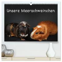 Vorderes Coverbild Unsere Meerschweinchen (hochwertiger Premium Wandkalender 2026 DIN A2 quer), Kunstdruck in Hochglanz