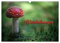 Vorderes Coverbild Glücksbringer (Wandkalender 2025 DIN A3 quer), CALVENDO Monatskalender