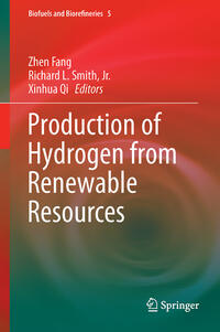 Vorderes Coverbild Production of Hydrogen from Renewable Resources