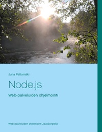 Vorderes Coverbild Node.js